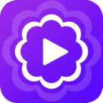 汀兰视频安装最新版