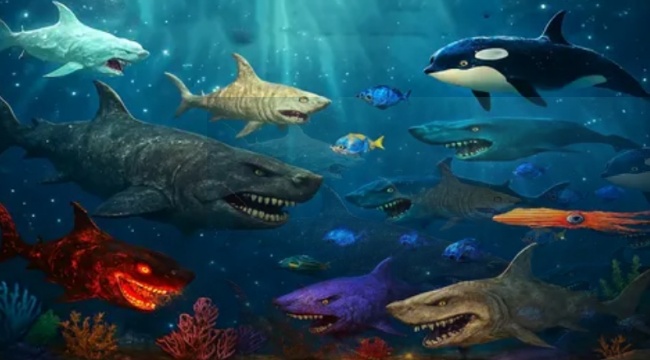 鲨鱼王国游戏