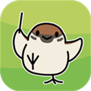 鸟之音汉化版