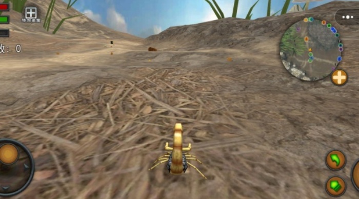 蝎子争霸赛游戏