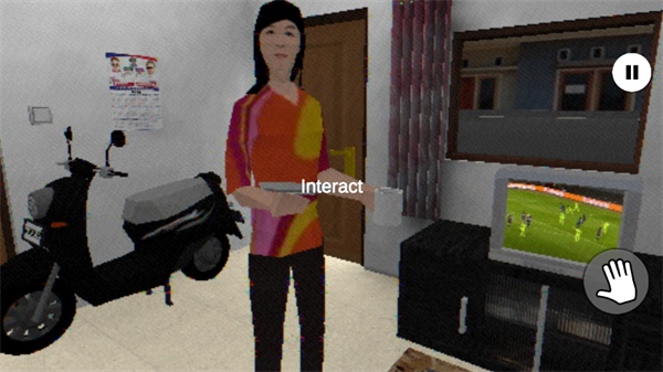 皮卡布停(汉化版