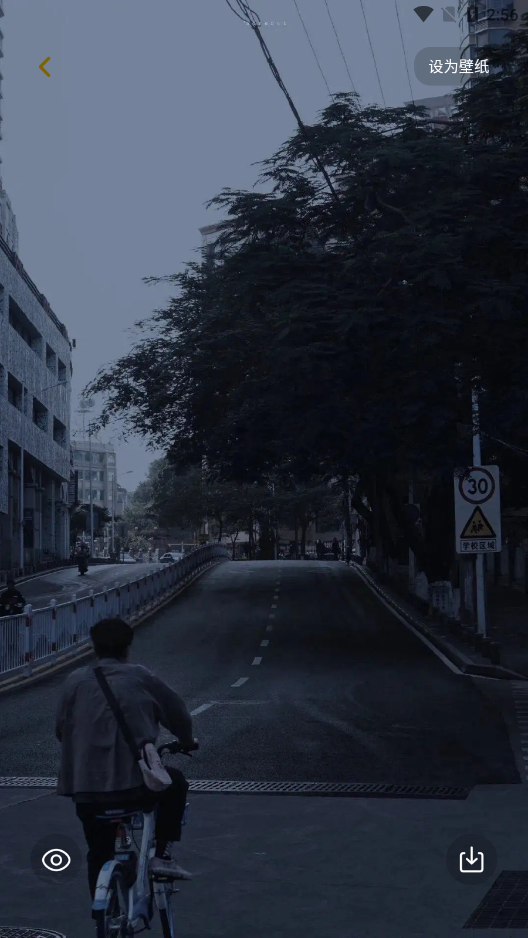 景深壁纸安卓版