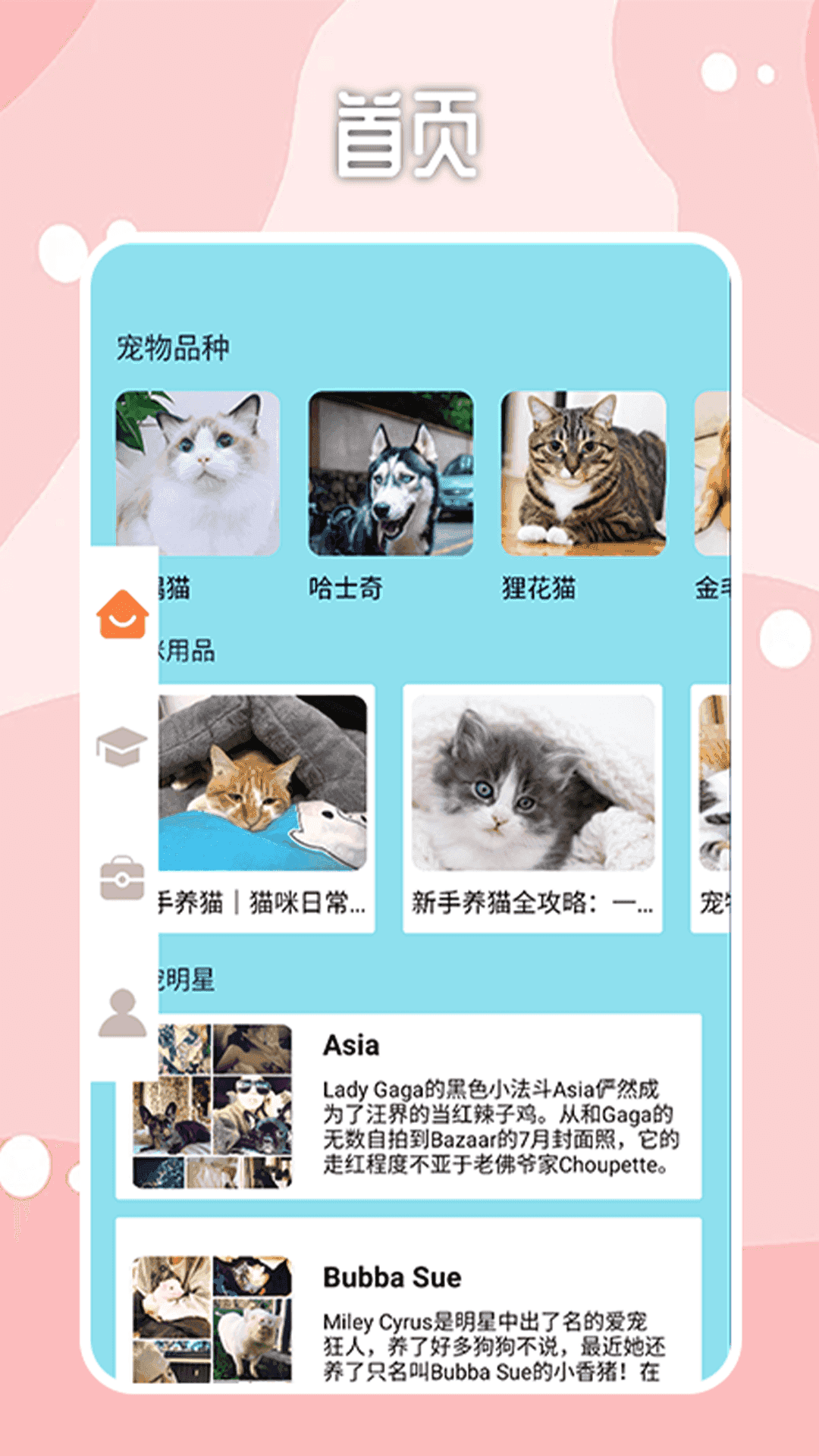 密聊猫最新版