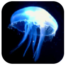 水母影院