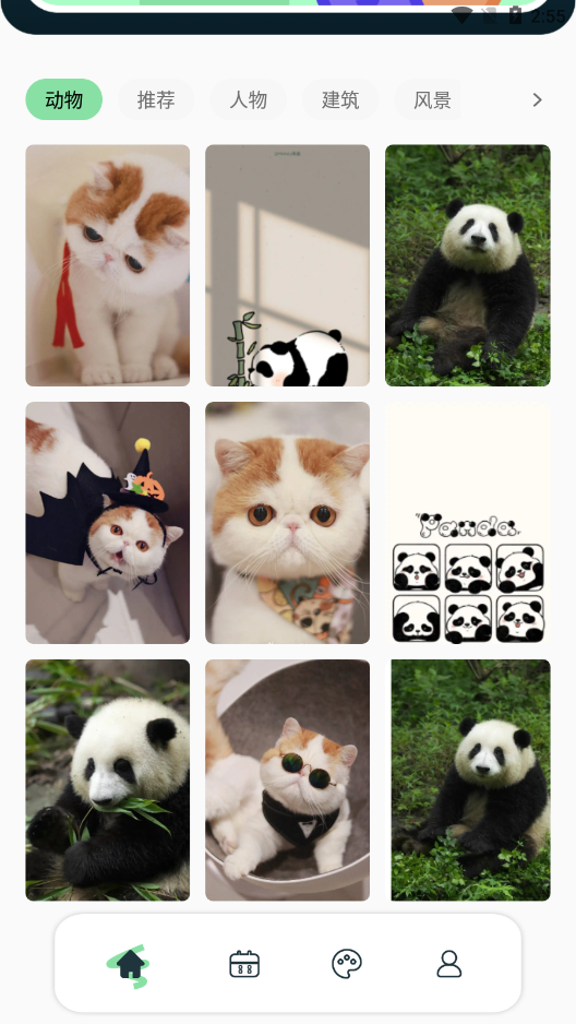 景深壁纸安卓版