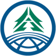 广西林控互联网平台