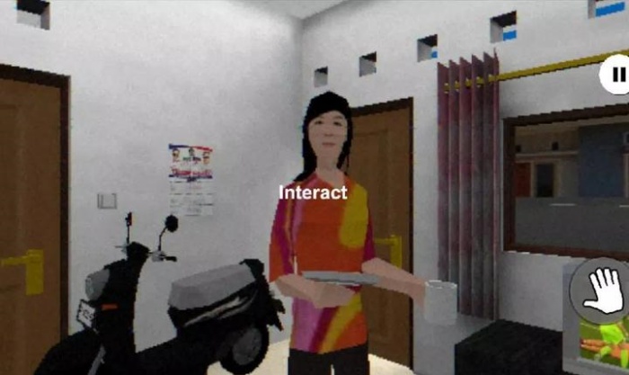 皮卡布停(汉化版