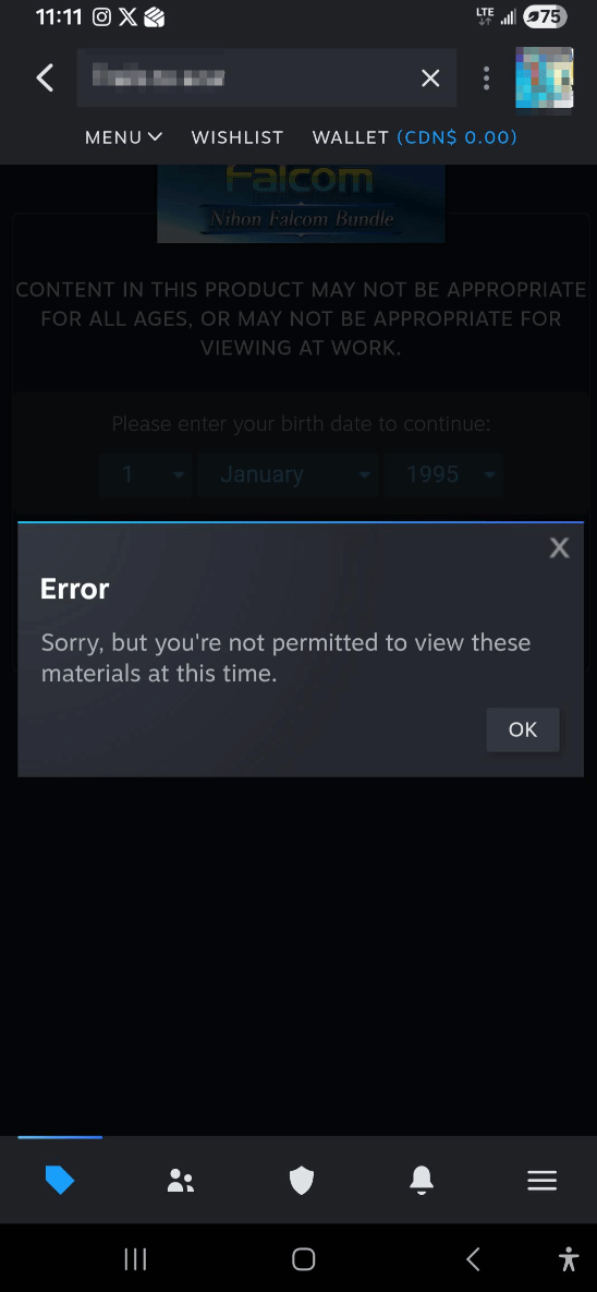 外国玩家被Steam年龄验证整到崩溃：难道得等我30岁才能玩这游戏？
