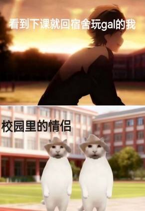 玩过一百款恋爱冒险游戏，就能在情感领域成为大神吗？