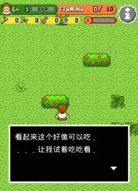 无人岛大冒险(4)