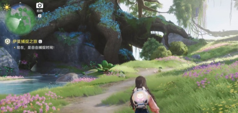 伊莫花舞兰宠物详情与捕捉攻略