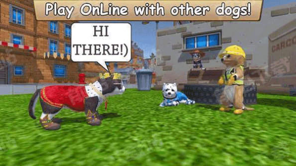 最新的ZOOM動(dòng)物馬