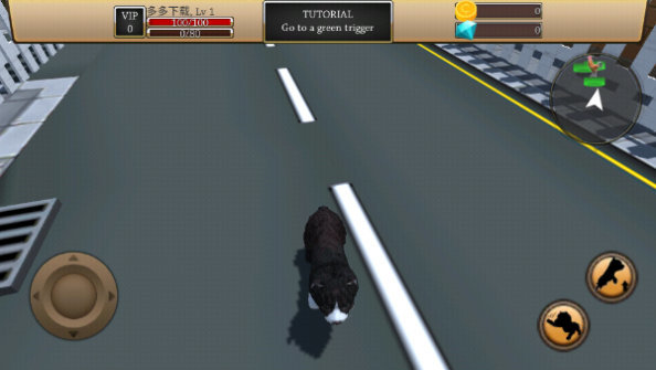 最新的ZOOM動(dòng)物馬