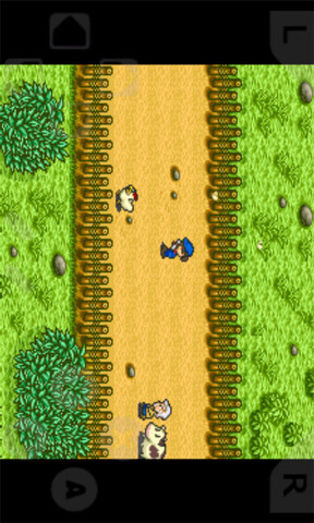 牧场物语中文豪华版