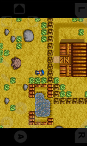 牧场物语中文豪华版