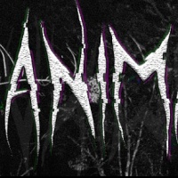 動物觀察員恐怖游戲