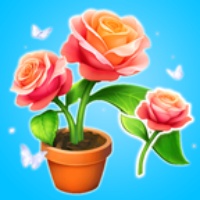 花花合合樂(lè)游戲