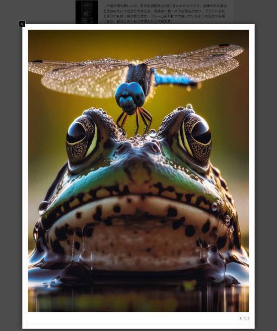 日本摄影大赛一等奖作品被查出系AI生成，主办方已紧急取消获奖者资格