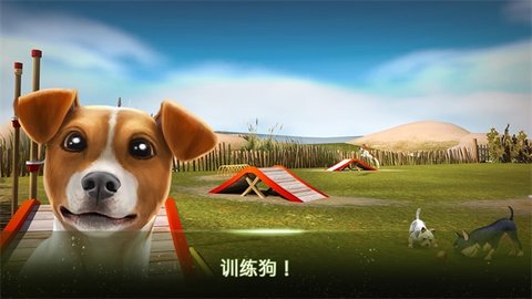 我的寄宿狗屋完整版截图3