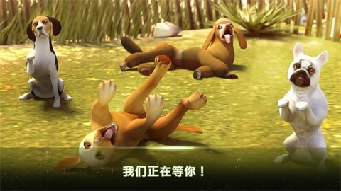 我的寄宿狗屋完整版截图0