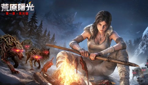 荒原曙光平民党如何选择职业