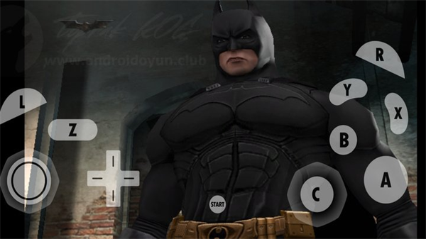 蝙蝠侠侠影之谜