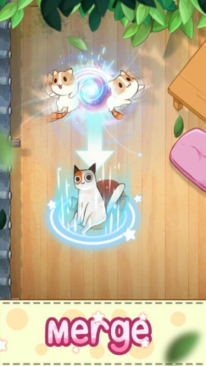 猫咪合并