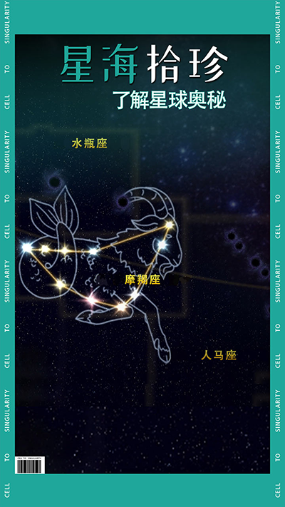 从细胞到奇点(4)