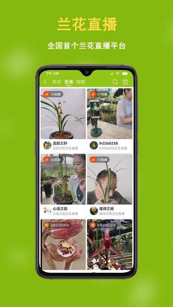 蘭花交易網(wǎng)圖3