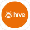 Hive
