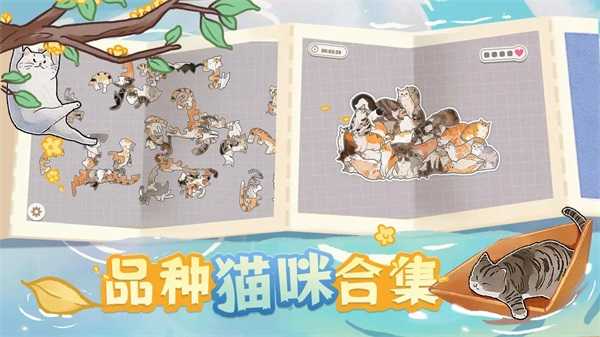 挤在一起的猫猫最新版(1)