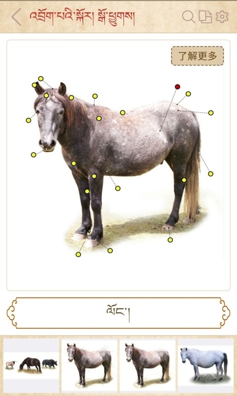 传统图解词典手机版截图2