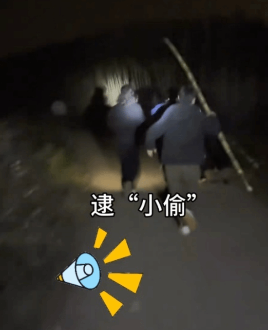 “9块9偷甘蔗”话题走红甘蔗园主表示：游客数量多计划增设NPC互动