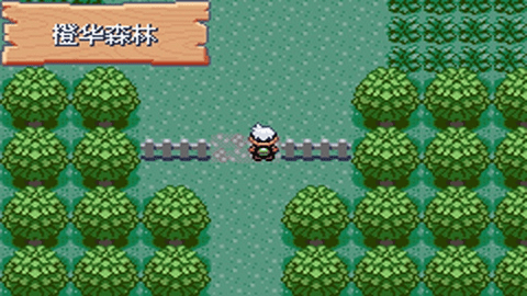 口袋妖怪火红金手指版2