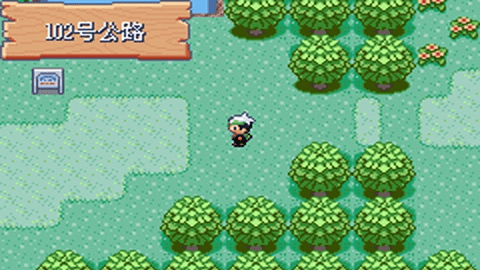 口袋妖怪火红金手指版1