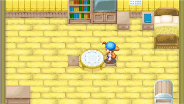 牧场物语矿石镇的伙伴(3)