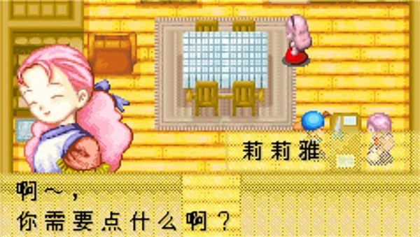 牧场物语矿石镇的伙伴(1)