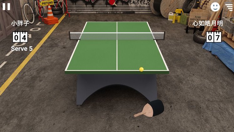 Virtual Table Tennis截图0