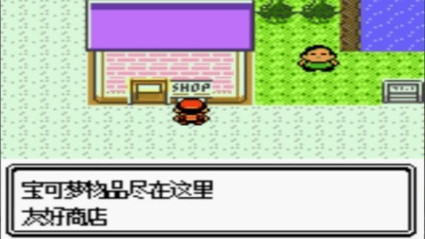 口袋妖怪金银中文版(3)