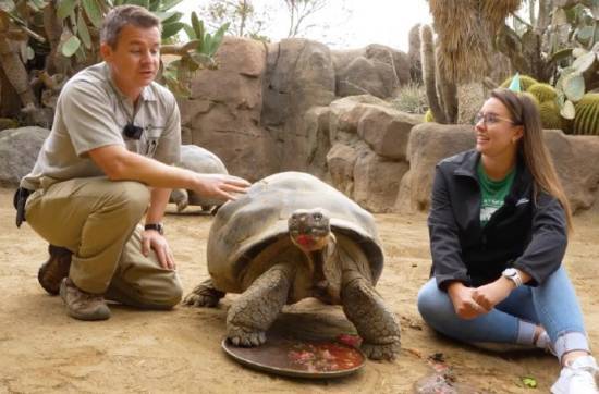 美国动物园中最年长的象龟被实施安乐死，其寿命约达141岁