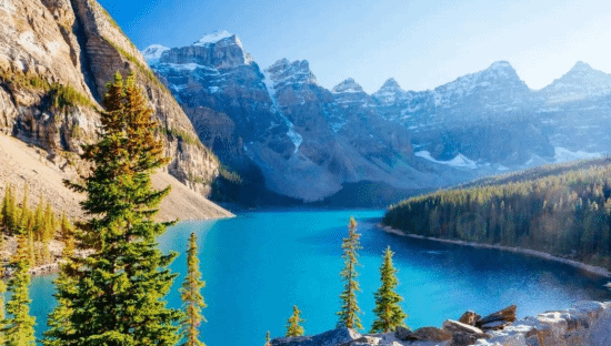 美国国家公园调整收费标准：本国游客80美元，外国游客费用提升至250美元