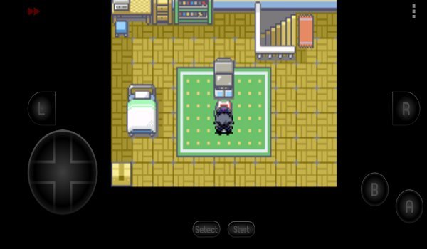 口袋妖怪究极之路图3