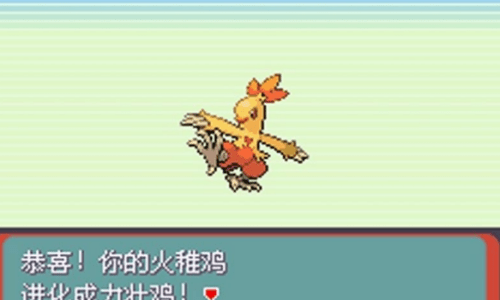 口袋妖怪：绿宝石图1