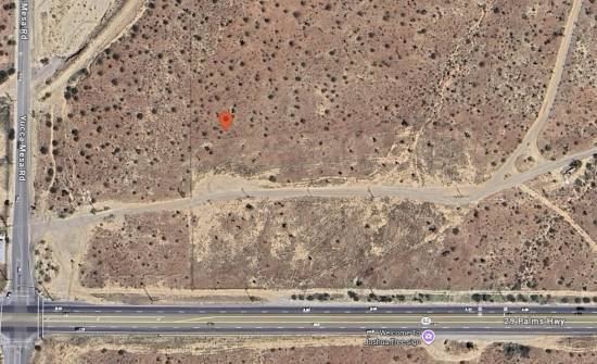 TGA神秘骷髅雕像现身现实世界！玩家实地探访：太着急了