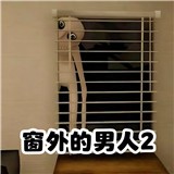 窗外的男人2中文版