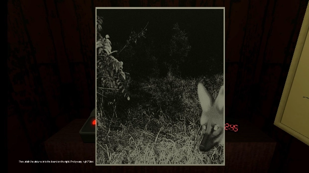 动物观察员pc端移植版-2