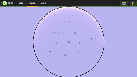细胞实验室汉化版图3