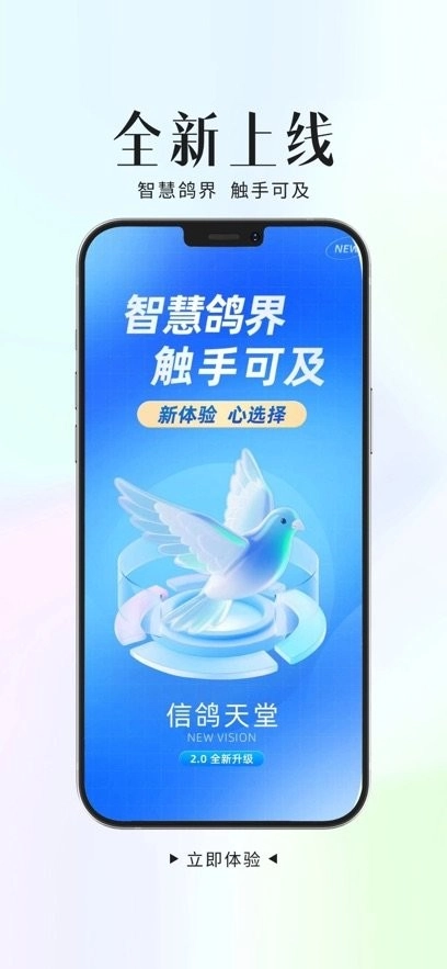 信鸽天堂手机版