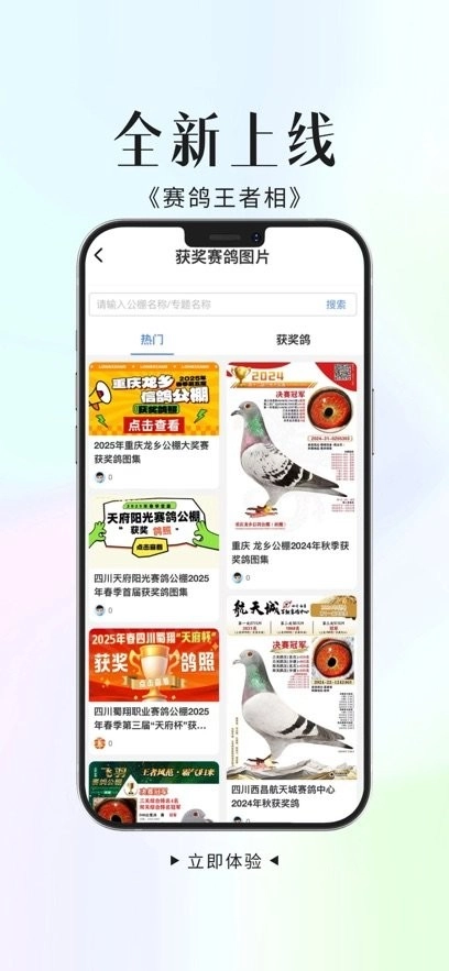 信鸽天堂手机版