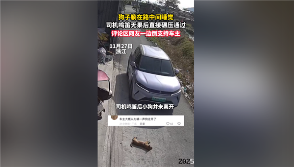 狗在马路中央酣睡，司机鸣笛无果后选择碾压，网友热议：究竟是否需要承担责任